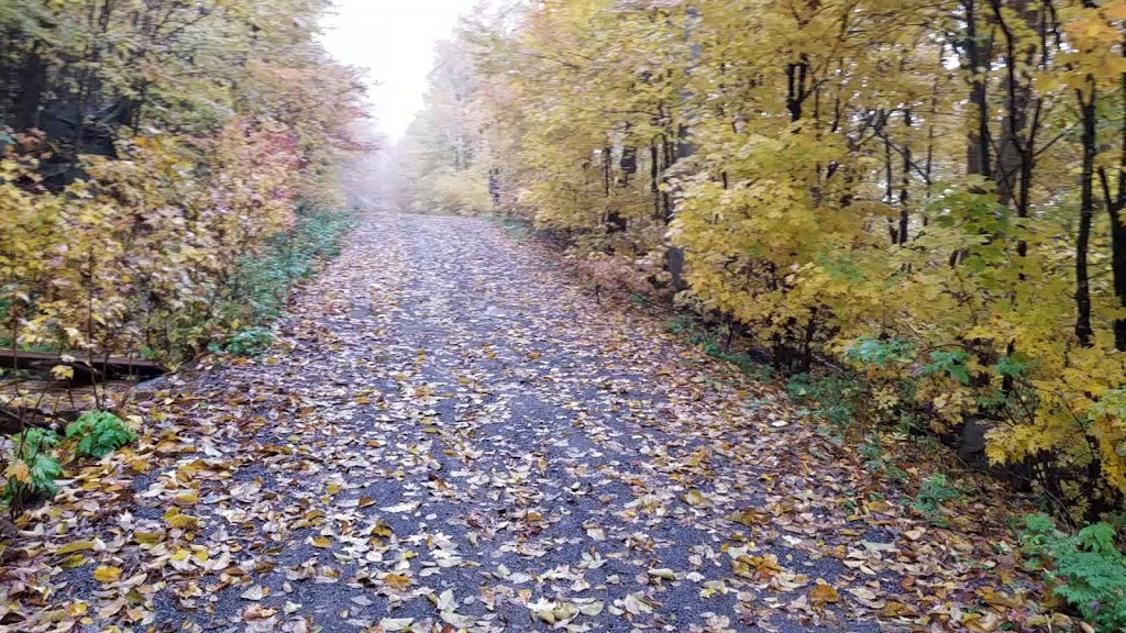 Le petit refuge des bois | 10-24 Chemin du Tremble, Lantier, QC J0T 1V0, Canada | Phone: (438) 404-8323