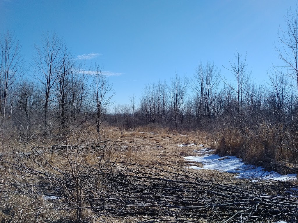 Bruce Trail | Bruce Trail, Dundas, ON L9H 5S4, Canada