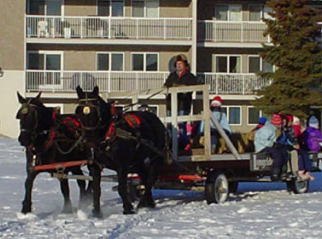 Longriders Wagon Rides and Sleigh Rides Edmonton | 23136 Secondary Highway 643, Gibbons, AB T0A 1N0, Canada | Phone: (780) 203-2122