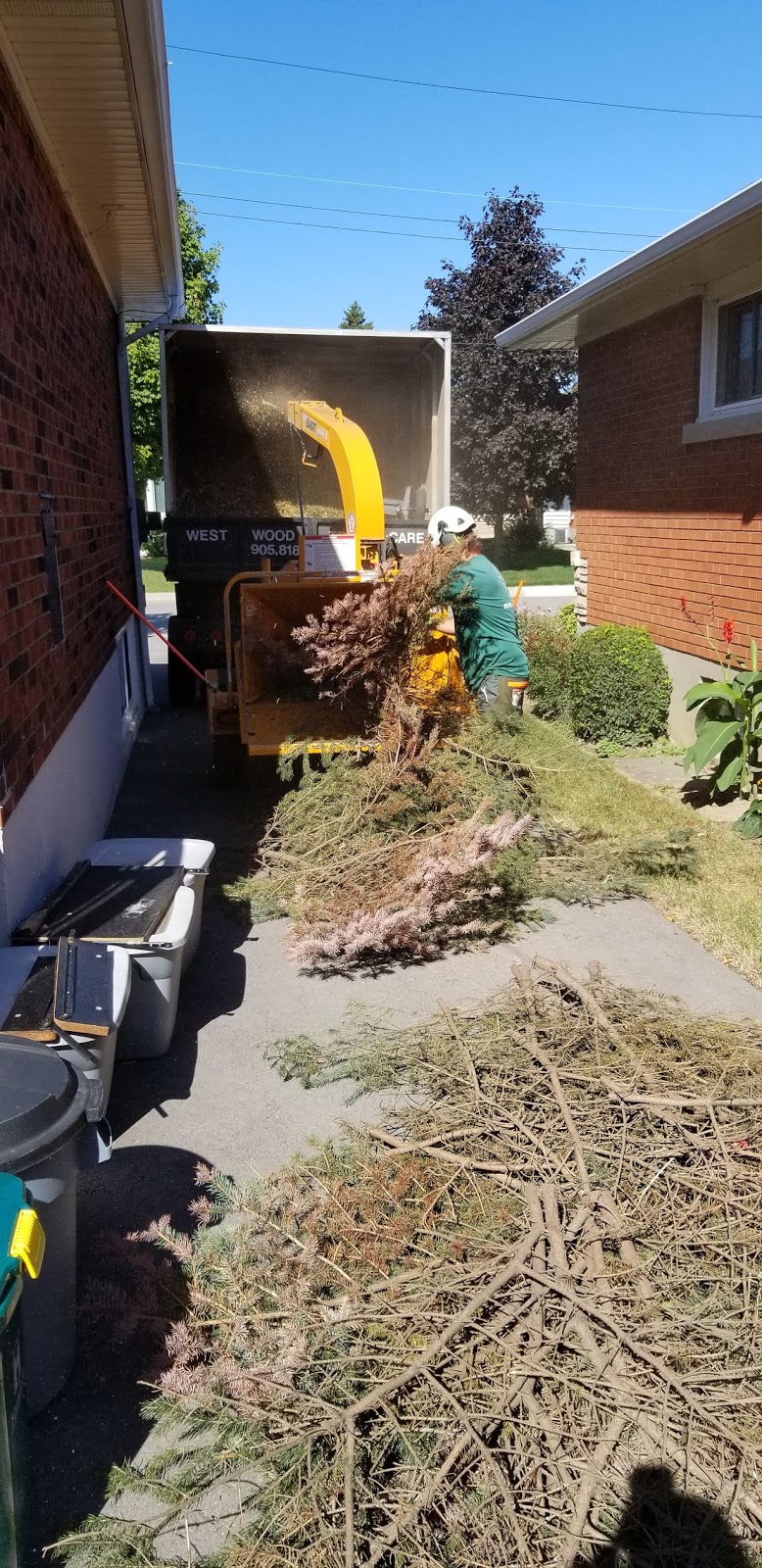 Westwood Tree Care | 1026 Britannia Rd, Burlington, ON L7P 0G1, Canada | Phone: (905) 818-1505