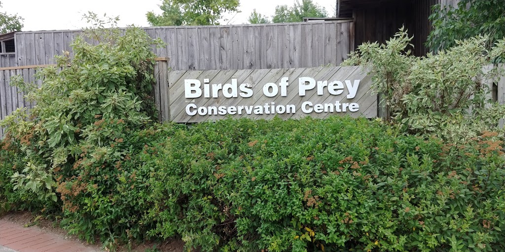 Birds of Prey - Flying Demonstration | Flamborough, Hamilton, ON N1R 5S2, Canada