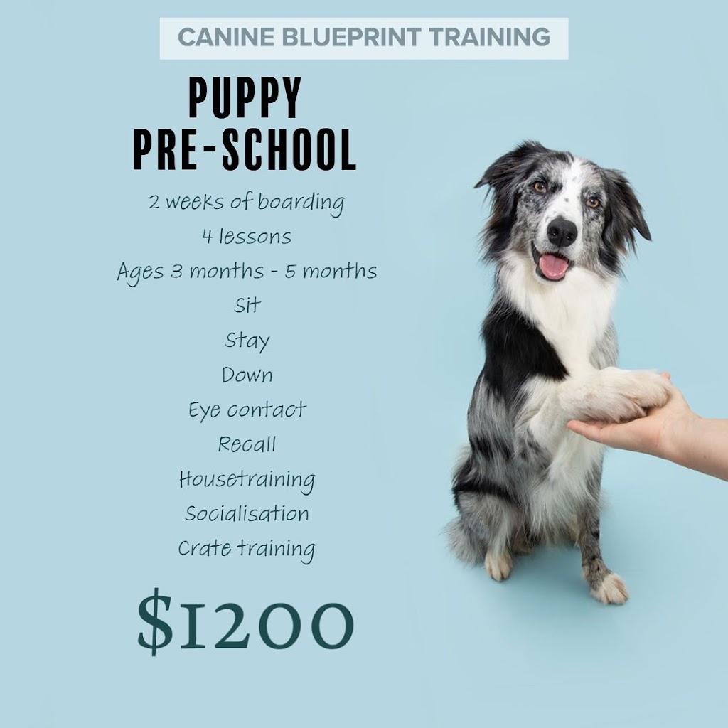 Canine Blueprint Training INC | 52044 Range Rd 204, Sherwood Park, AB T8G 1G3, Canada | Phone: (587) 986-3189