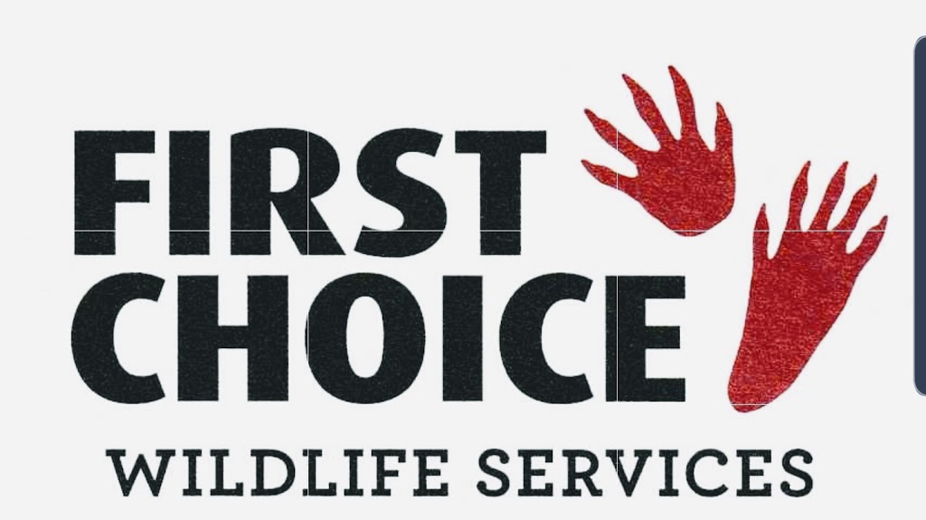 First Choice Wildlife Services | Oakville, ON L6H 0P9, Canada | Phone: (905) 399-4670