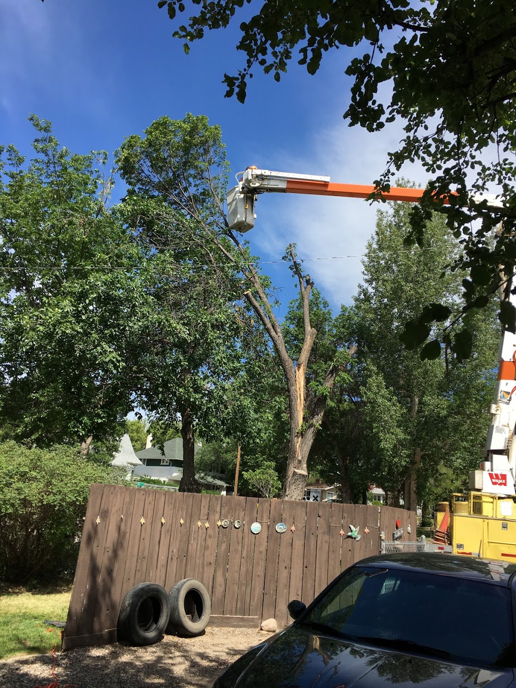 A-1 Tree Service | 1009 Carleton St, Moose Jaw, SK S6H 3A3, Canada | Phone: (306) 692-6701