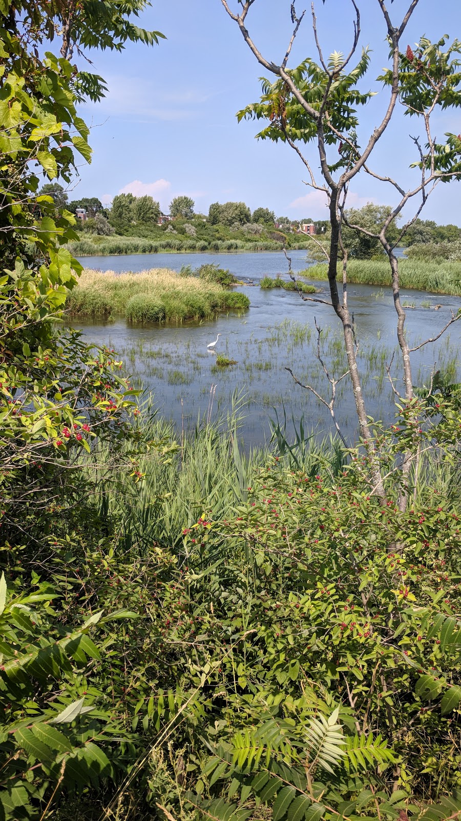 L’Île aux Hérons | LÎle-aux-Hérons, Montreal, QC H8P, Canada