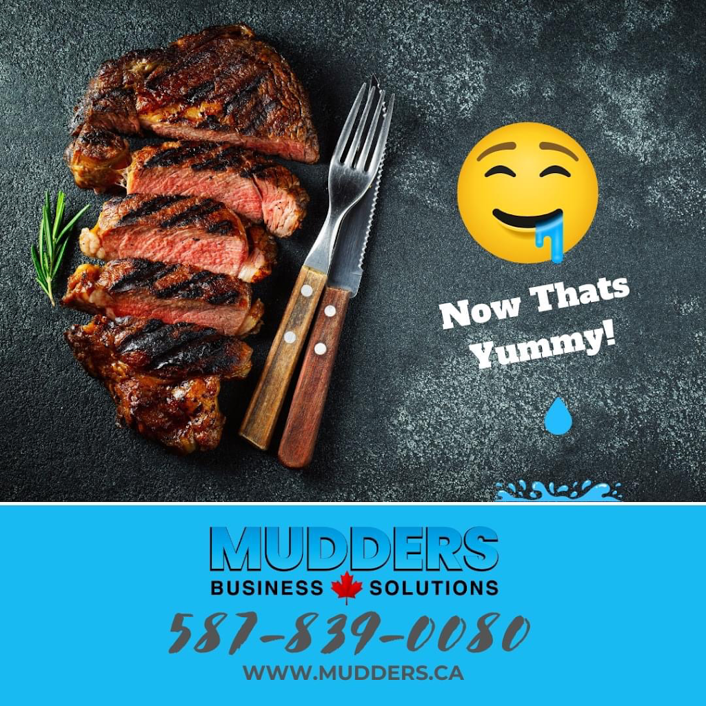 Mudders Business Solutions | 67 Kingsland Pl SE, Airdrie, AB T4A 0C7, Canada | Phone: (587) 839-0080