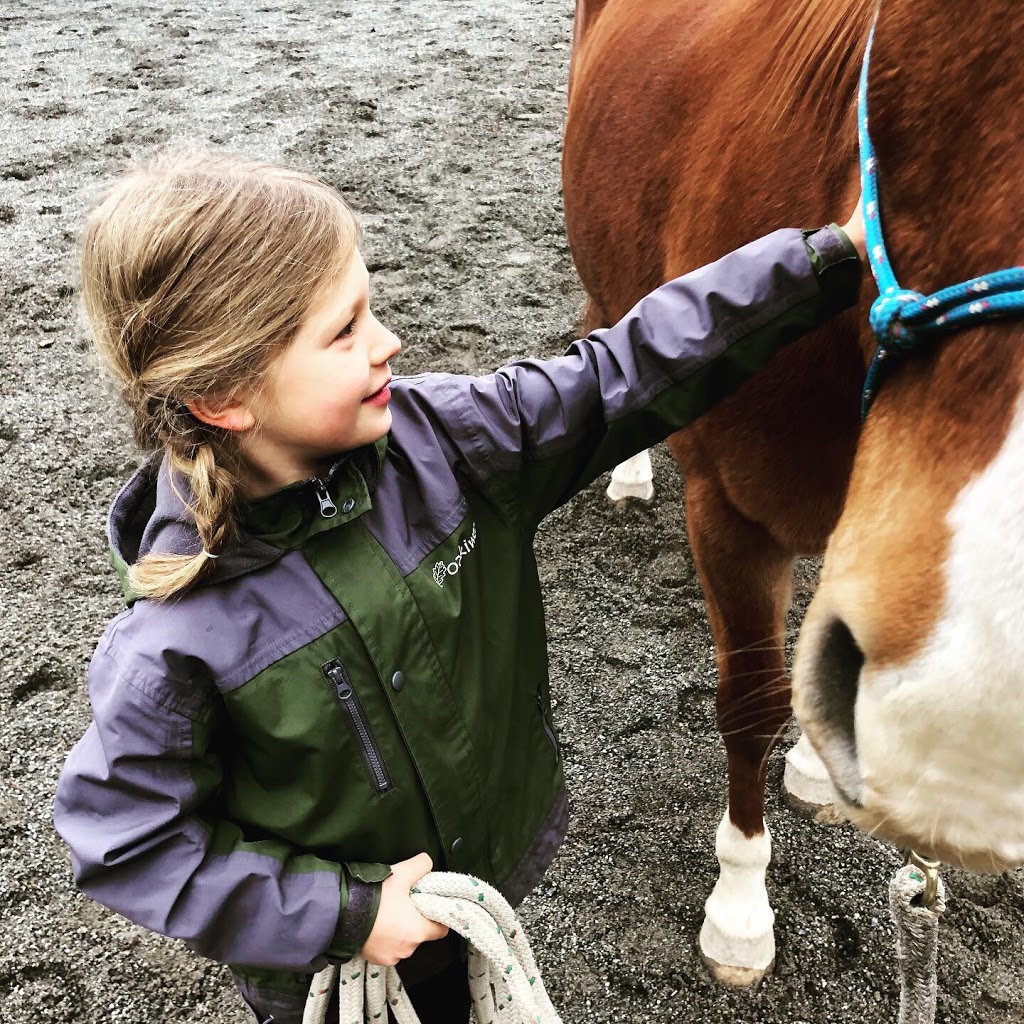 Liberty Farm - Dog & Horse Ranch | 25027 Robertson Crescent, Aldergrove, BC V4W 1W7, Canada | Phone: (604) 786-2570