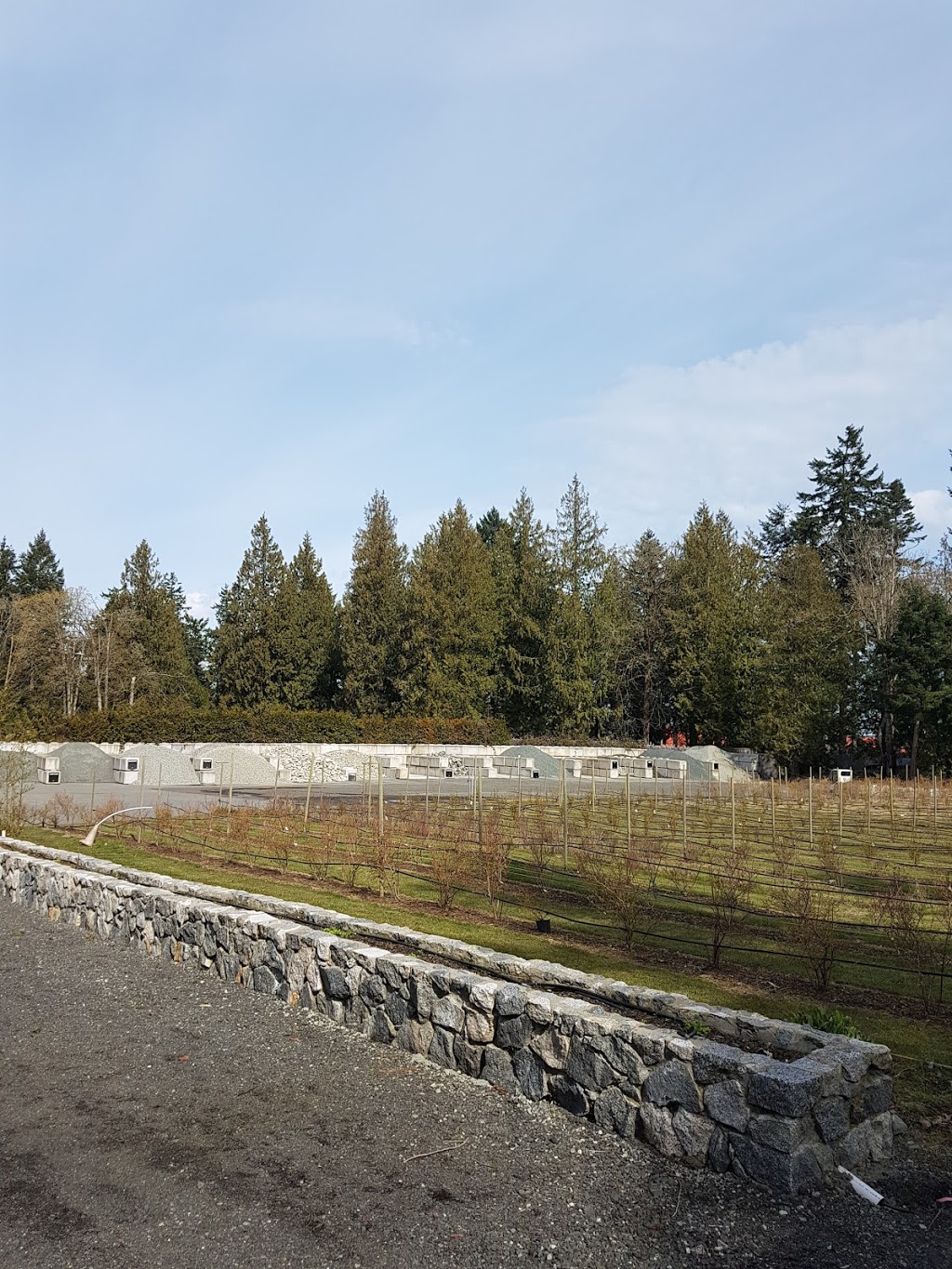 Almosta Berry Farm | 10125 Littlewood Rd, North Saanich, BC V8L 5S9, Canada