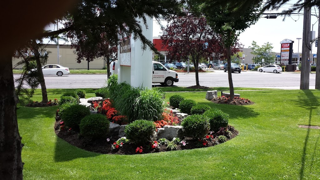 Clearview Landscaping | 104 Gilbert Ave, Toronto, ON M6E 4W1, Canada | Phone: (416) 418-4781