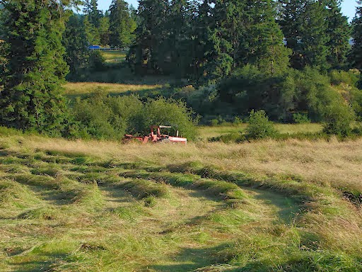 Maple Bay Farm | 1100 Herd Rd, Duncan, BC V9L 5W9, Canada | Phone: (250) 710-6025