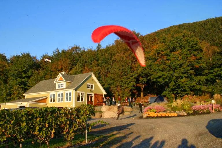 Vignoble Les Petits Cailloux | 625 Rang de la Montagne, Saint-Paul-dAbbotsford, QC J0E 1A0, Canada | Phone: (450) 379-9368