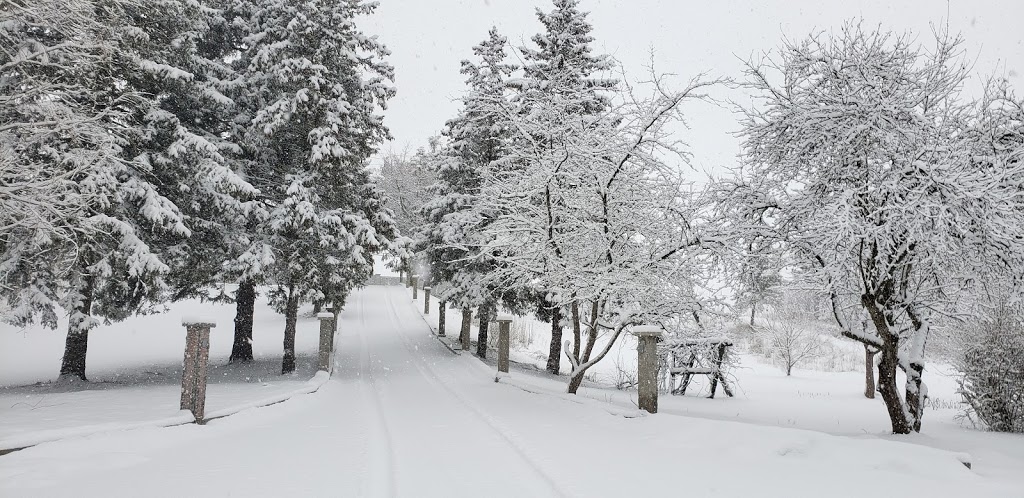 Waterloo Wellington Buddhist Monastery and Meditation Centre | 1145 Roseville Rd, Cambridge, ON N1R 5S3, Canada | Phone: (519) 267-0397