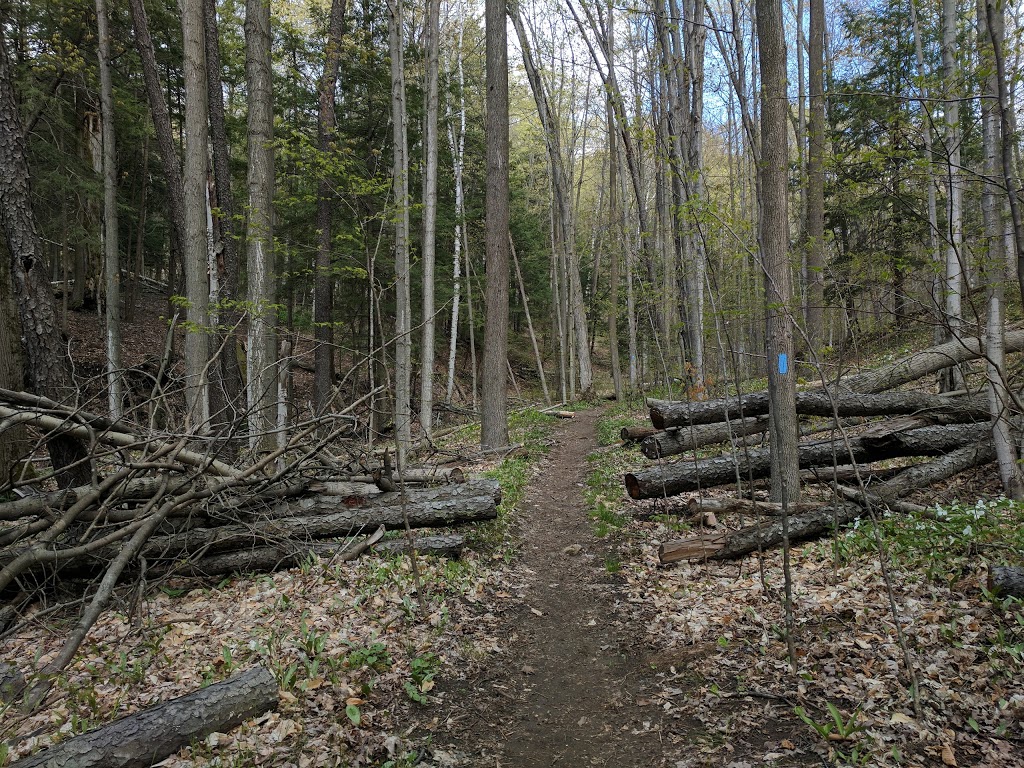 Hockley Valley Provincial Nature Reserve | 794122 3rd Line EHS, Laurel, ON L0N 1L0, Canada | Phone: (705) 435-2498