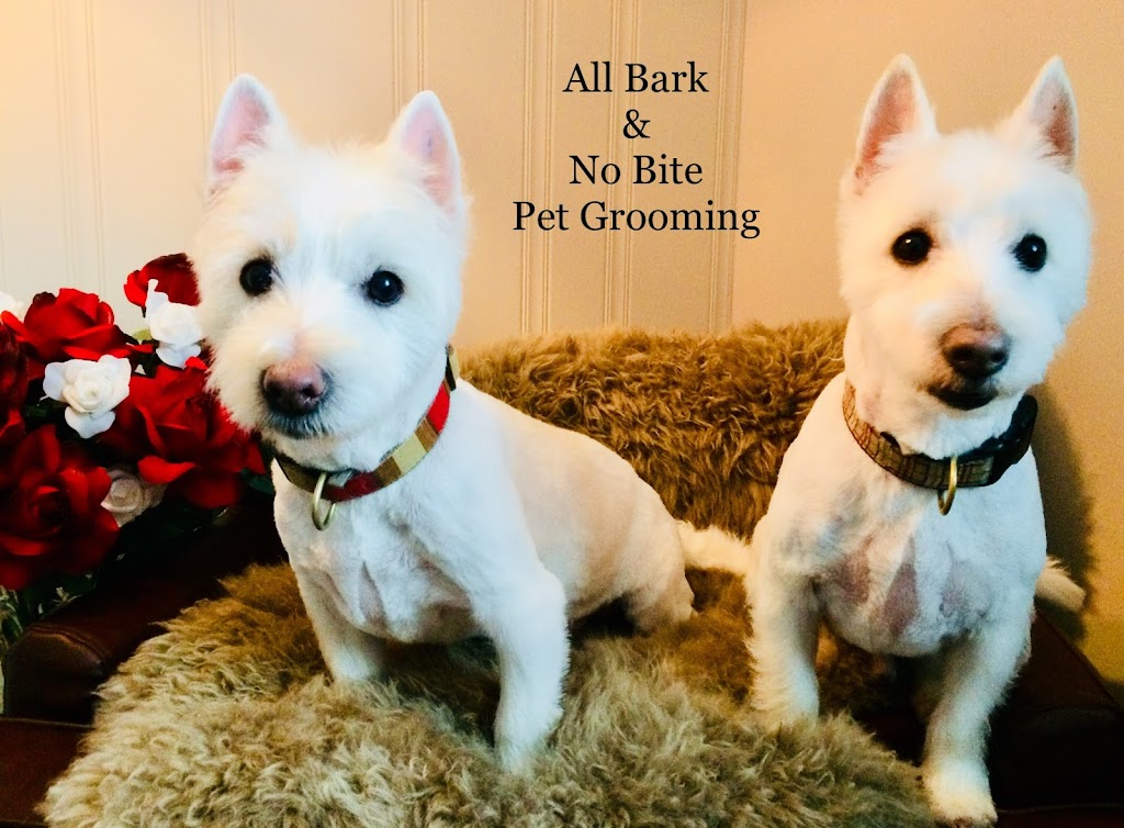 All Bark & No Bite Professional Pet Grooming | 6379 32 Ave NW, Calgary, AB T3B 0K1, Canada | Phone: (403) 863-9291