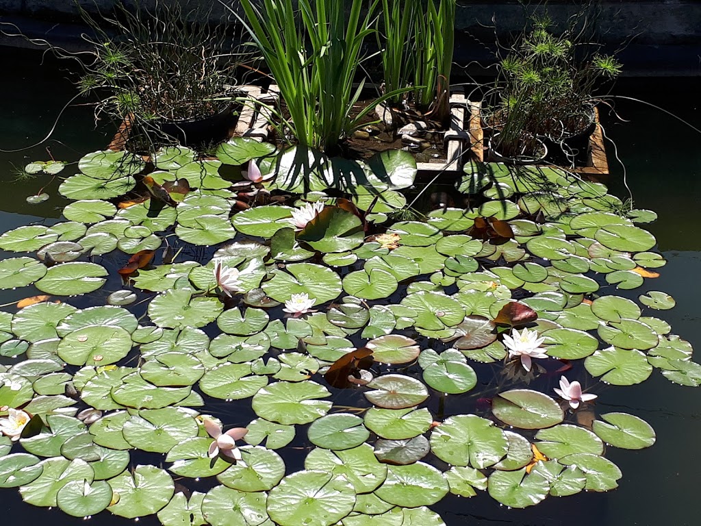 Floral Clock | 14004 Niagara Pkwy, Queenston, ON L0S 1L0, Canada | Phone: (905) 357-2411