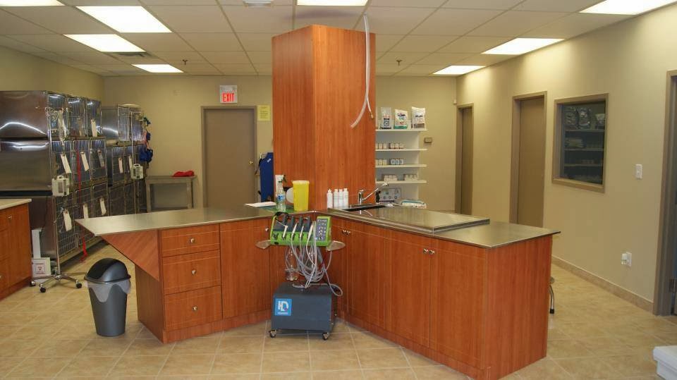 Mcleod Road Animal Clinic | 7000 McLeod Rd, Niagara Falls, ON L2G 7K3, Canada | Phone: (905) 371-8200