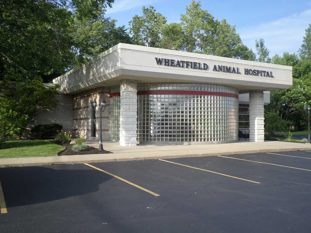 Wheatfield Animal Hospital | 3421 Niagara Falls Blvd, North Tonawanda, NY 14120, USA | Phone: (716) 693-3141