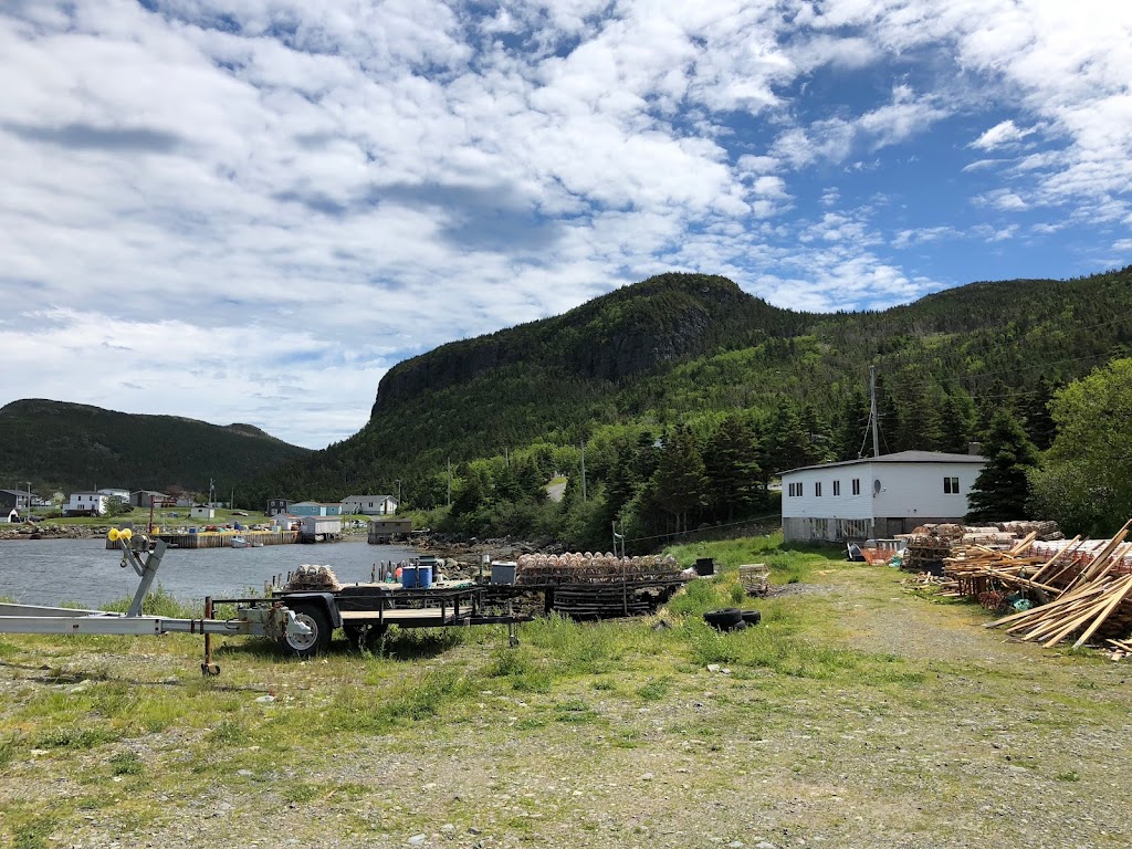 Fox | Fox Harbour, NL A0B 1V0, Canada | Phone: (709) 227-2135