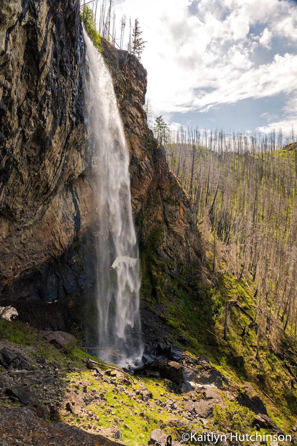 Christie Falls Trailhead | Terrace Mountain Rd, Douglas Lake, BC V0E 1S0, Canada