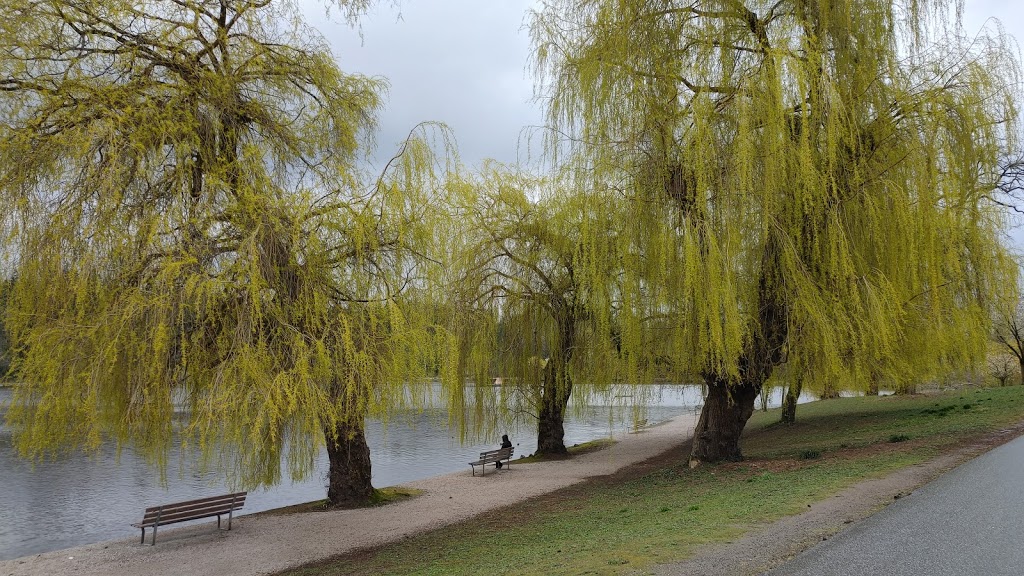 Lost Lagoon, Stanley Park | Lost Lagoon Path, Vancouver, BC V6G, Canada | Phone: (604) 873-7000