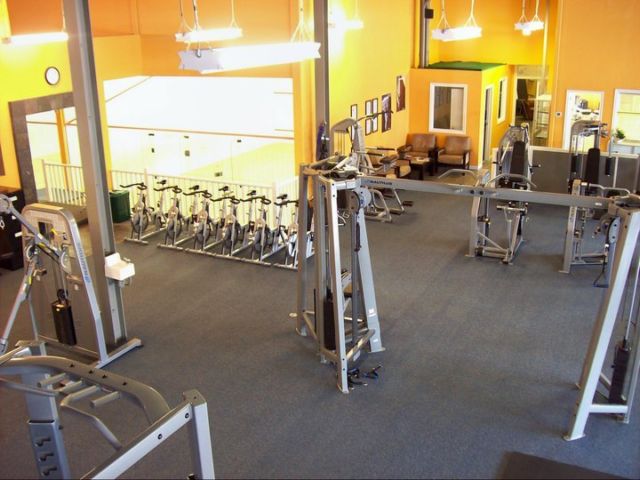 Collingwood Squash and Wellness Centre | 90 High St, Collingwood, ON L9Y 4K2, Canada | Phone: (705) 444-7824