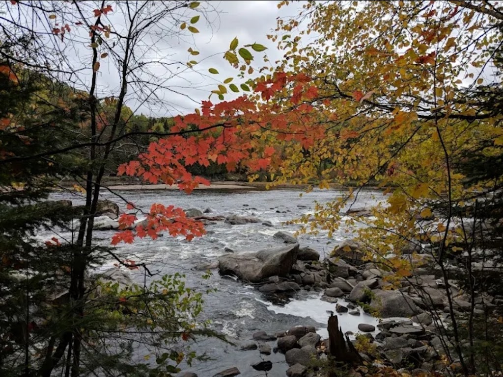 Chalet locatif lApéro des Chutes | 108 Rte de la Chute du Huit, Notre-Dame-de-Montauban, QC G0A 3T0, Canada | Phone: (418) 284-4151