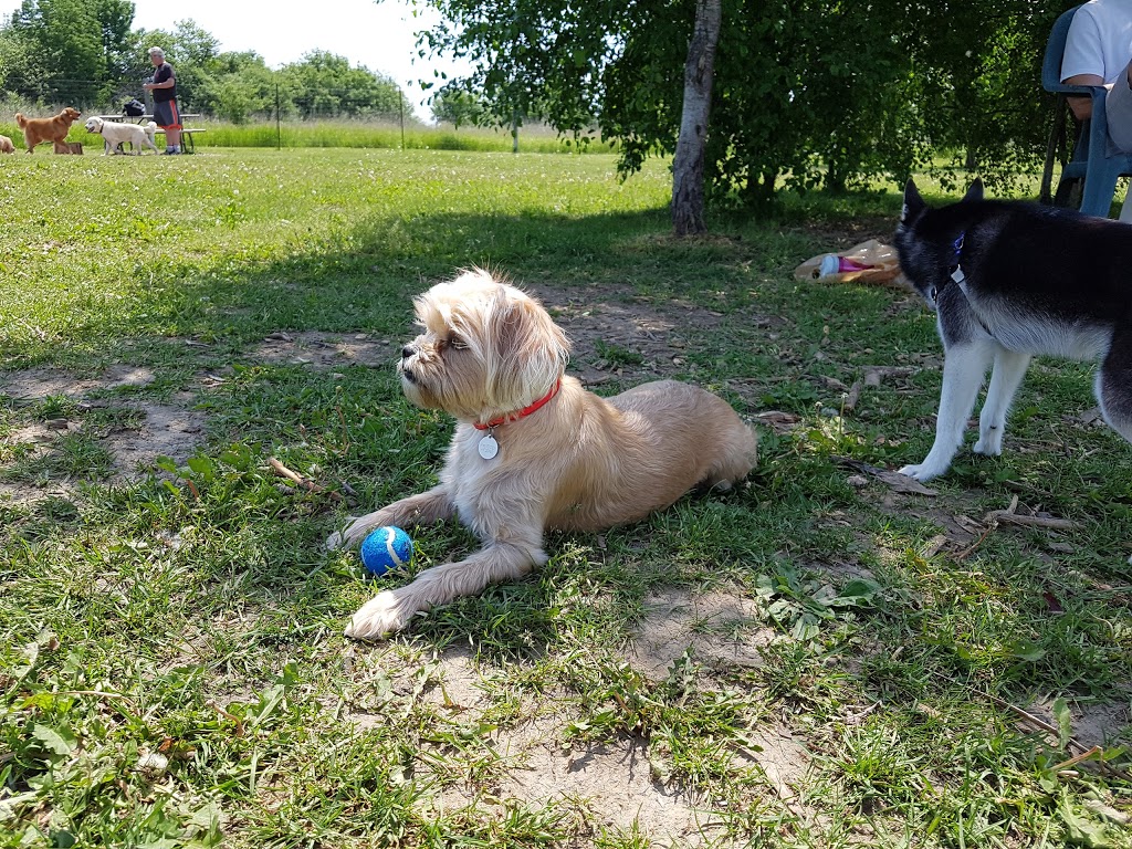 Huntington Park Off-leash dog park | Huntington Park Dr, Thornhill, ON L3T 7C7, Canada