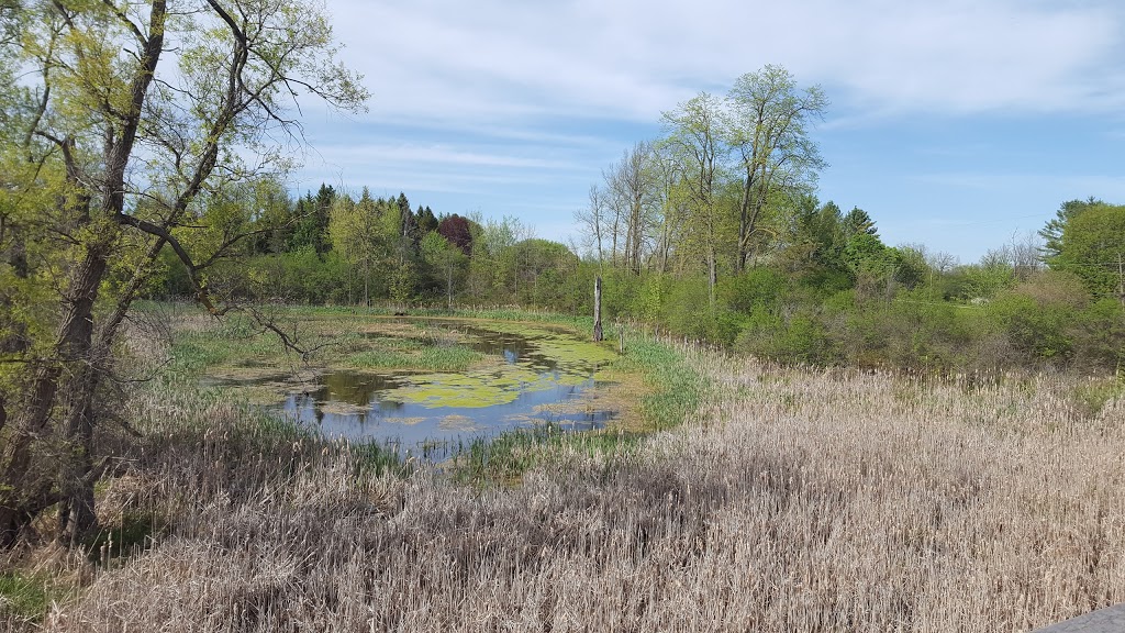 McKenzie Wetland | 138-186 St Johns Sideroad, Aurora, ON L4G 6T6, Canada