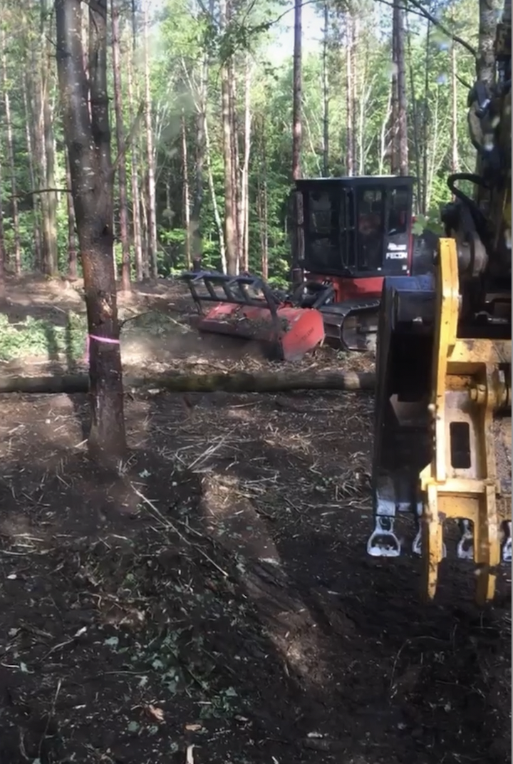 WS Land Clearing | 2574 Line 10 N, Oro, ON L0L 1T0, Canada | Phone: (705) 345-2988