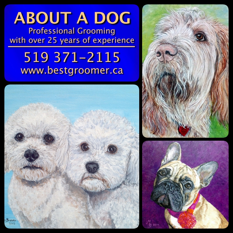 About A Dog | 1085 3rd Ave E, Owen Sound, ON N4K 2L1, Canada | Phone: (519) 371-2115