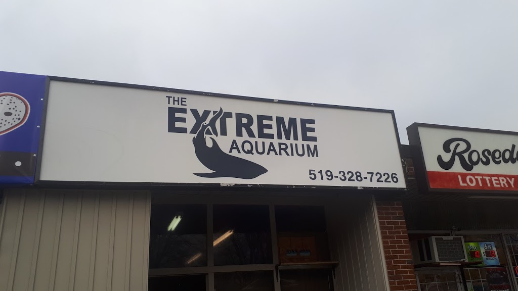 The Extreme Aquarium | 782 Rosedale Ave, Sarnia, ON N7V 2A1, Canada | Phone: (519) 328-7226