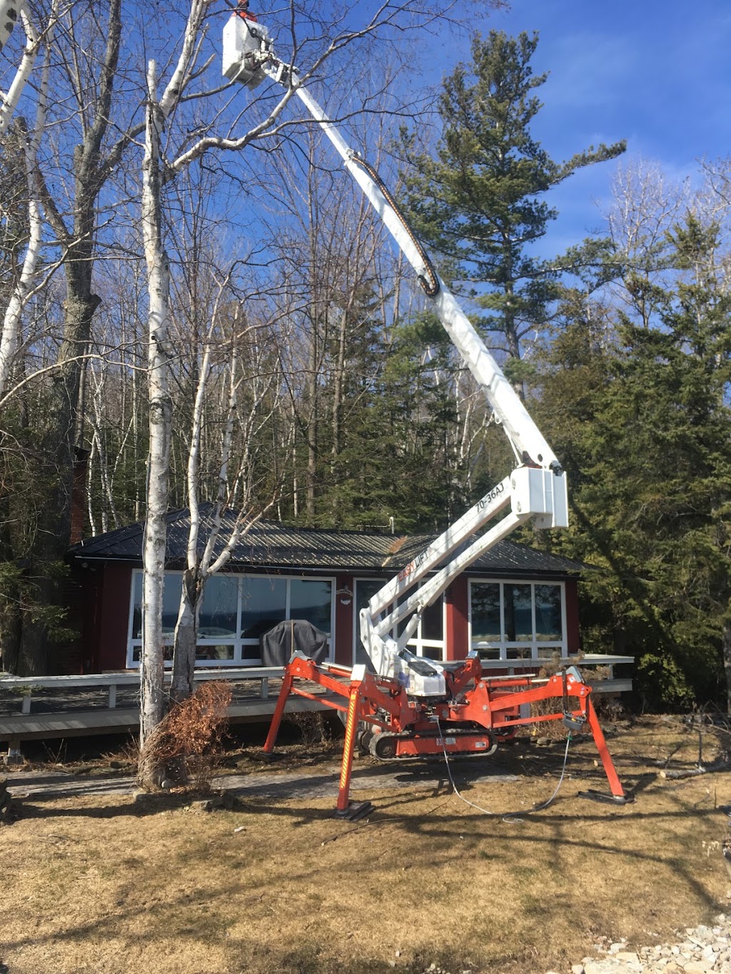 Wallace Tree Service | 319896 Kemble Rock Rd, Kemble, ON N0H 1S0, Canada | Phone: (519) 371-7632