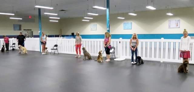 Family Dog Manners - Dog Training Services | 201 N Riverside Ave, St Clair, MI 48079, USA | Phone: (810) 728-0904