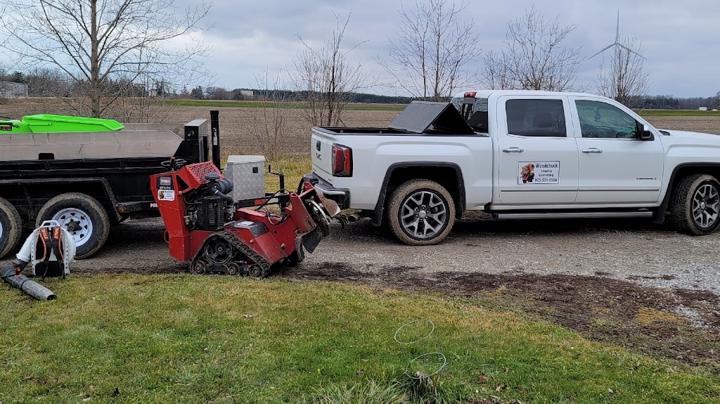 Woodchuck Stump Grinding | 111 King St E, Hagersville, ON N0A 1H0, Canada | Phone: (905) 531-0586