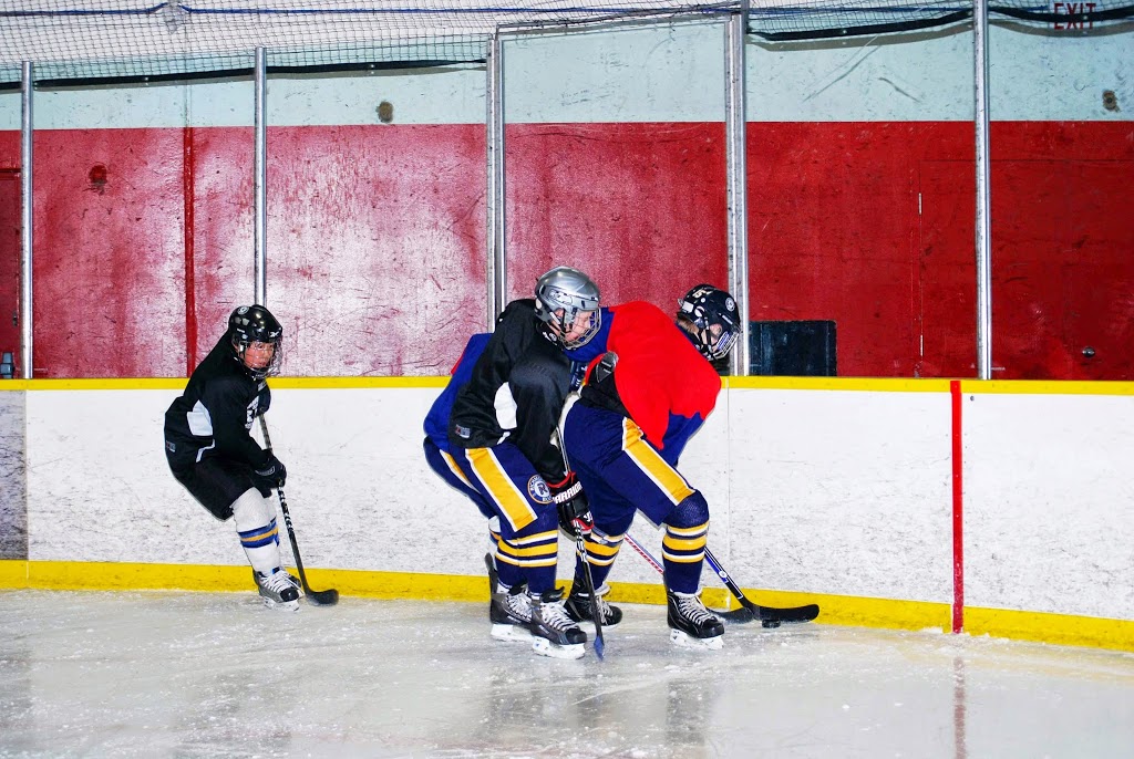 Pacific Elite Hockey School | 8120 Dalemore Rd, Richmond, BC V7C 2A6, Canada | Phone: (604) 303-0993