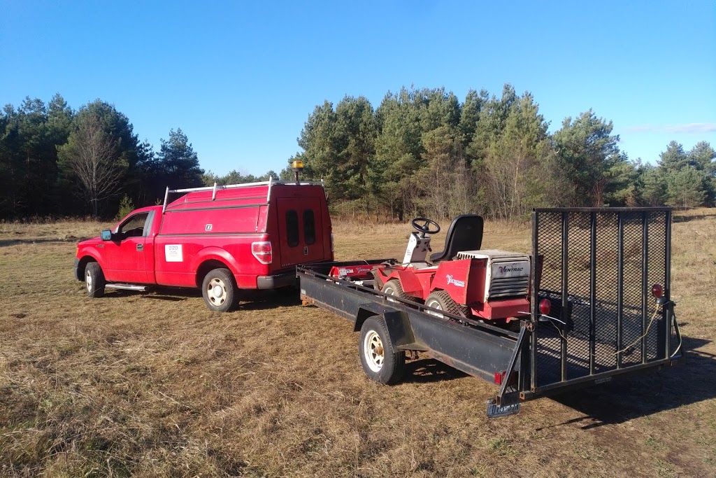 Oro Stump Grinding | 242 Lakeshore Rd W, Oro Station, ON L0L 2E0, Canada | Phone: (705) 817-6018