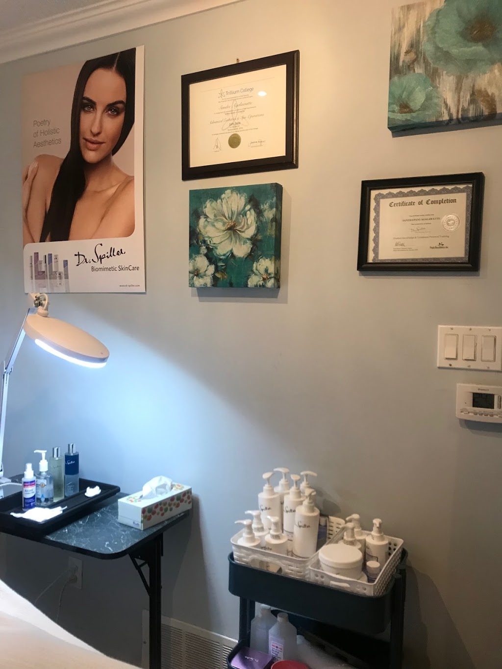 Lakeview Spa | 1456 Valley Dr, Oshawa, ON L1J 7Z3, Canada | Phone: (647) 284-3708