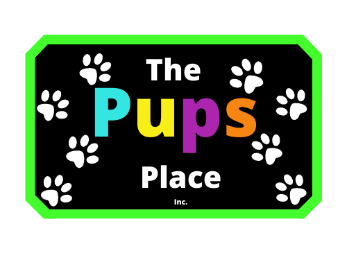 The Pups Place | 3765 Loggers Way Suite 120, Kinburn, ON K0A 2H0, Canada | Phone: (613) 612-1366