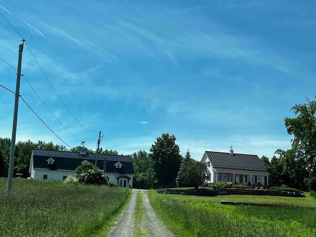 Vignoble Les Gémeaux | 766 ch 1st Concession, Hinchinbrooke, QC J0S 1A0, Canada | Phone: (514) 349-3061