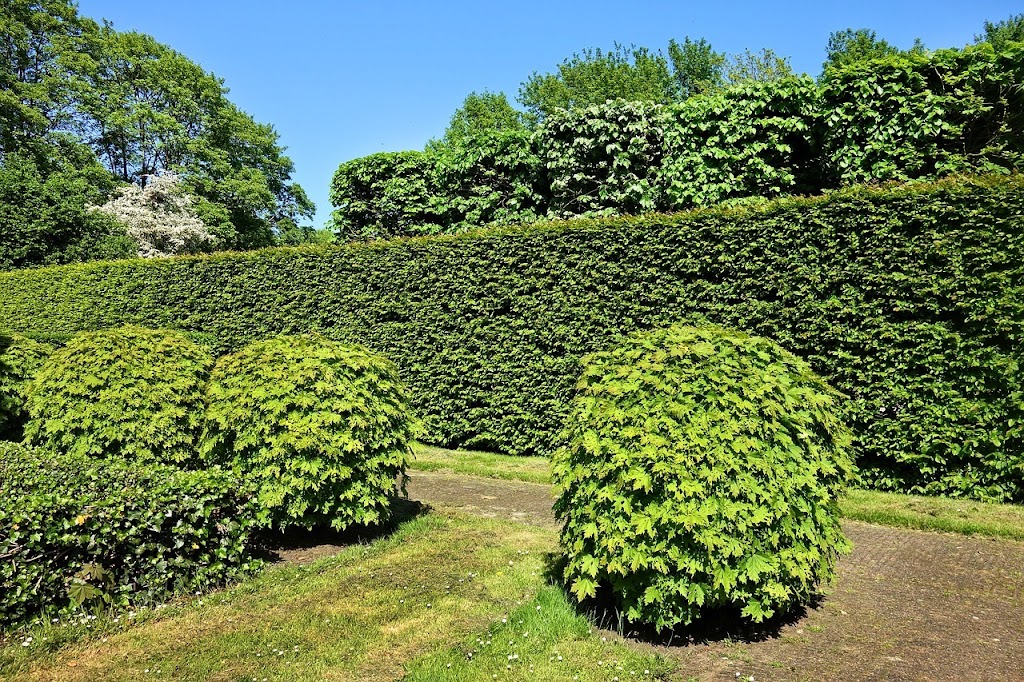 Émondage et Élagage Rémi Beaupré | 171 5e Avenue S, Sainte-Thècle, QC G0X 3G0, Canada | Phone: (418) 507-7023