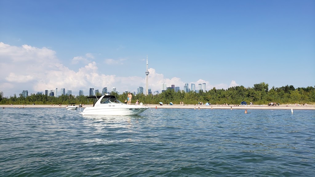 Hanlans Point Beach | Lakeshore Ave, Toronto, ON M5J 2W2, Canada | Phone: (416) 392-8196