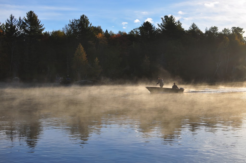 Domaine Aventurier Inc. | 131 Chemin du Poisson Blanc, Notre-Dame-du-Laus, QC J0X 2M0, Canada | Phone: (819) 767-2362