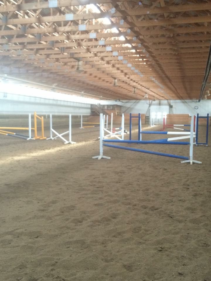 Tailwind Equestrian | 211043 Twp Rd 84B Rd, Lethbridge, AB T1J 5N6, Canada | Phone: (403) 915-2252