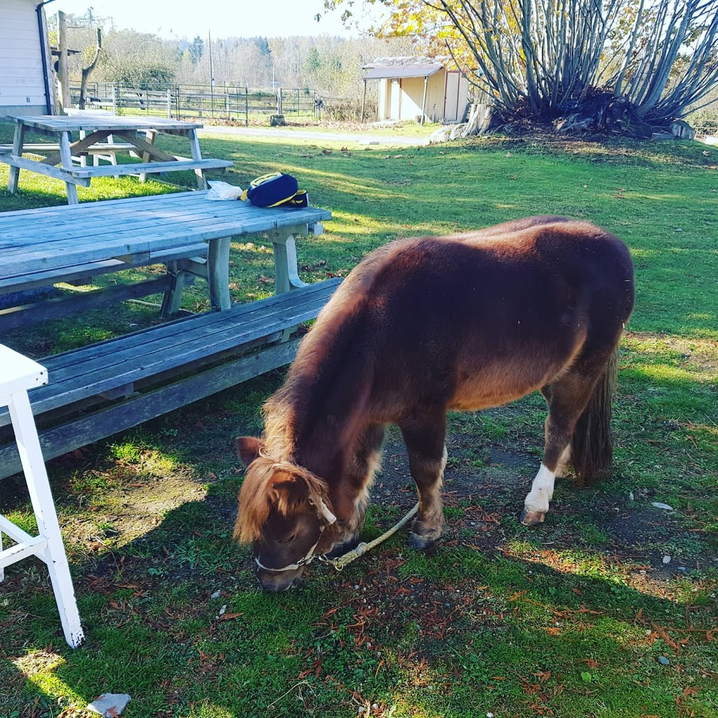 Sunny Riding Stables | 8020 216 St, Langley City, BC V2Y 2C7, Canada | Phone: (778) 896-3797