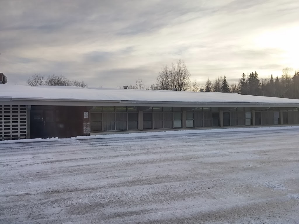 Ecole Mgr-Ovide-Charlebois | 20 Rue Du Collège, Sainte-Marguerite-du-Lac-Masson, QC J0T 1L0, Canada | Phone: (450) 240-6225