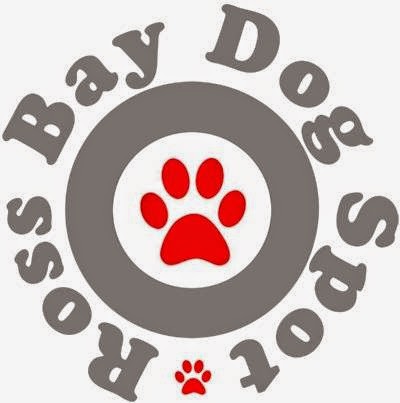 Ross Bay Dog Spot | 1594 Fairfield Rd #16, Victoria, BC V8S 1G1, Canada | Phone: (778) 265-2897