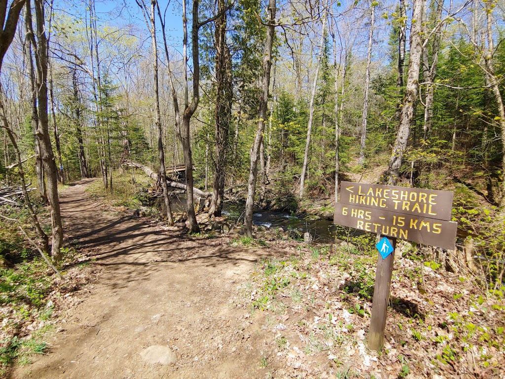 Silent Lake Provincial Park | 1589 Silent Lake Park Road, Bancroft, ON K0L 1C0, Canada | Phone: (613) 339-2807