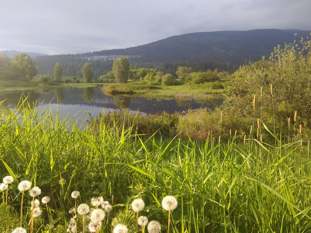 Deboville Slough | 3H8, Trans Canada Trail, Coquitlam, BC V3E 3H8, Canada