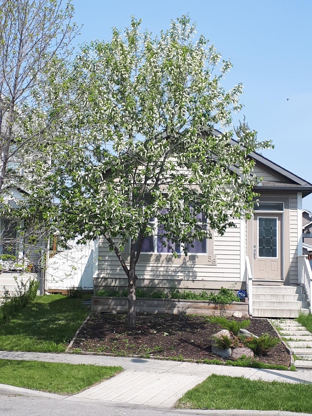 Turning Leaf Tree Service - Calgary Arborists | Box 43173 Deer Valley, Calgary, AB T2J 7A7, Canada | Phone: (403) 369-0043