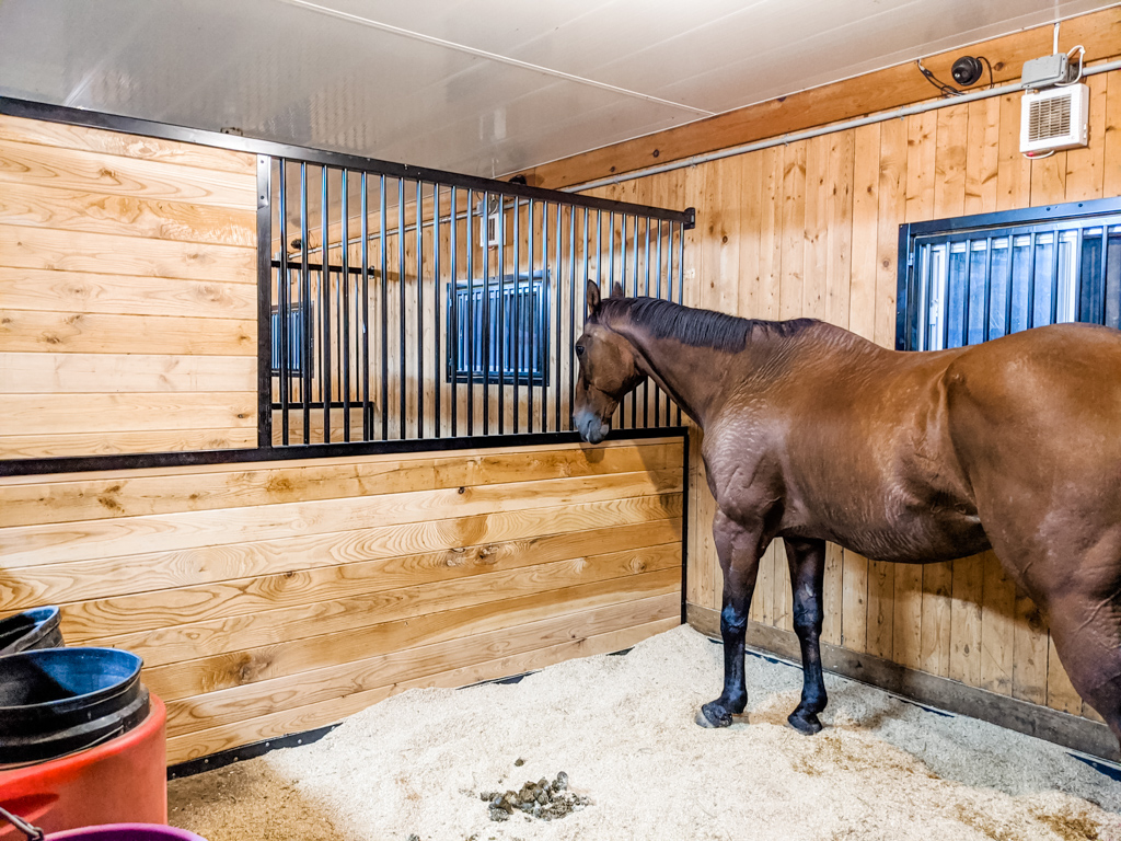 LIV Stables | 1751 Concession 2 Rd W, Lynden, ON L0R 1T0, Canada | Phone: (866) 812-3461